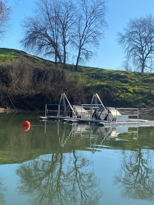 Lower Feather River RST - Below Star Bend