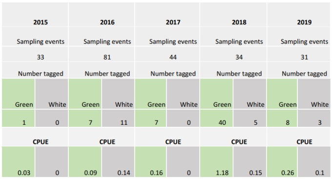 Catch per unit effort (CPUE) 