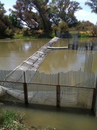 Colusa Basin Drain Resistance Style Weir