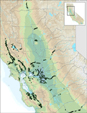 Giant Reed Distribution - Northern California