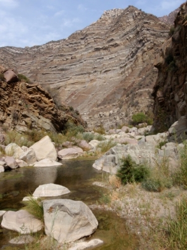 CalFish > Programs & Data > Conservation and Management > California ...