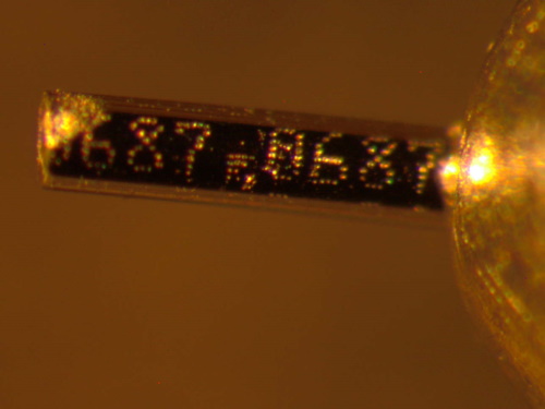 coded-wire tag viewed through a microscope