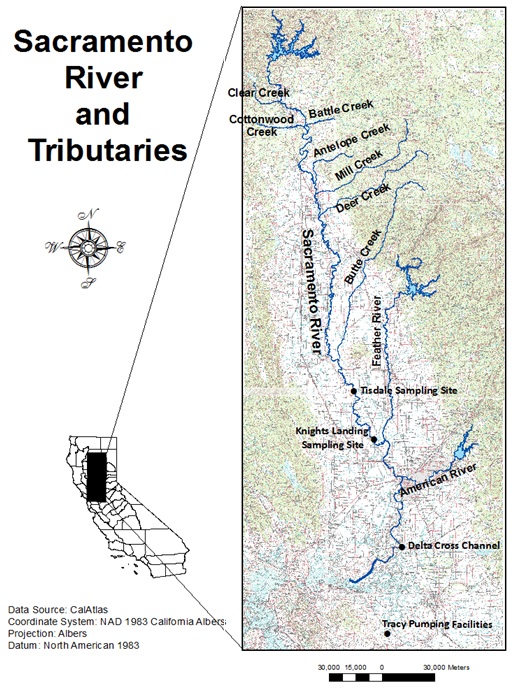 Sacramento River Depth Chart