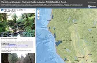 Interactive mapping tool