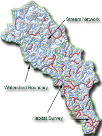 Mattole Watershed